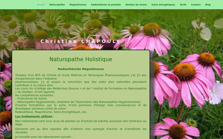 Screenshot of bienetreaveclesplantes.fr