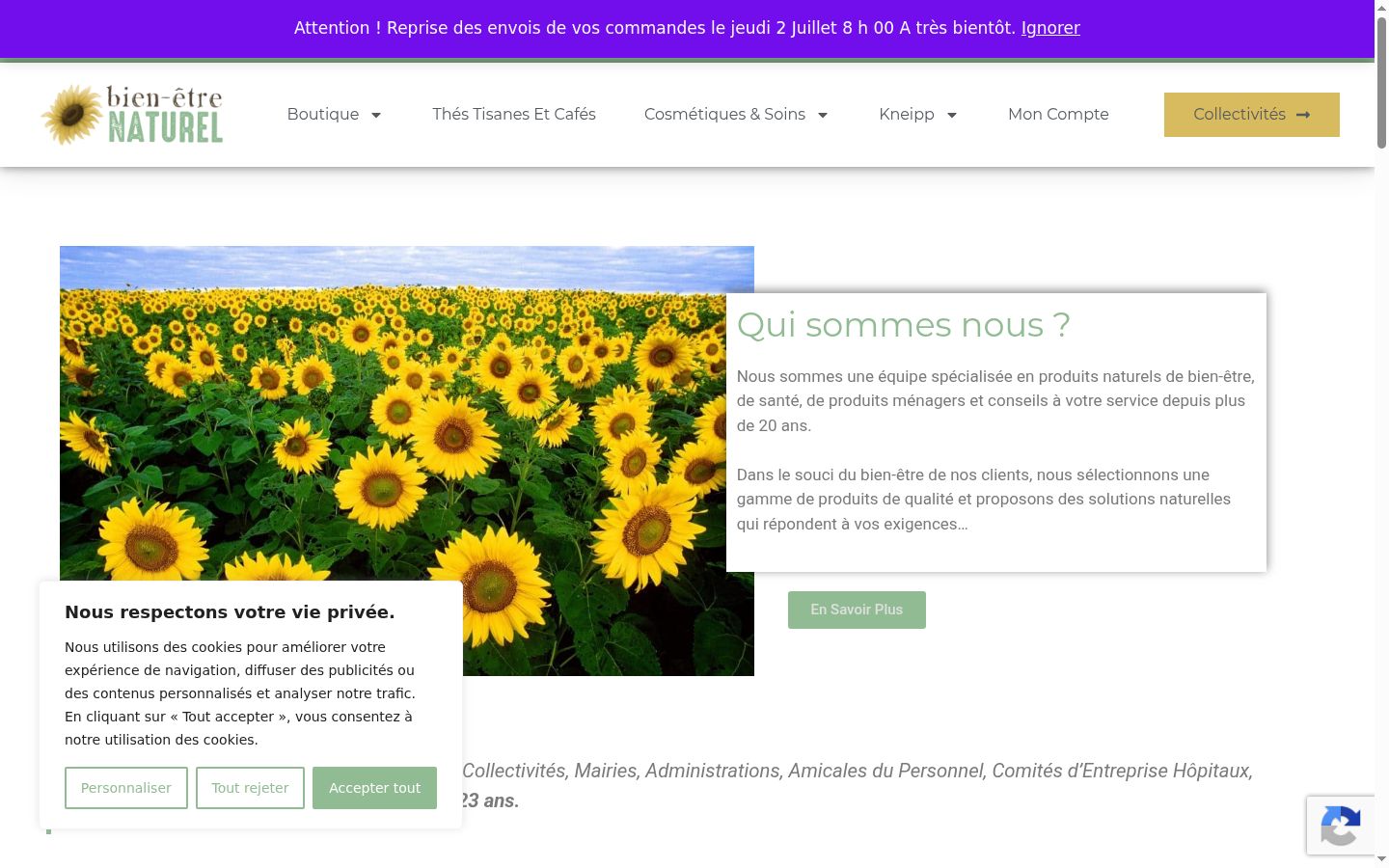 Screenshot of the consent banner shown before any interaction