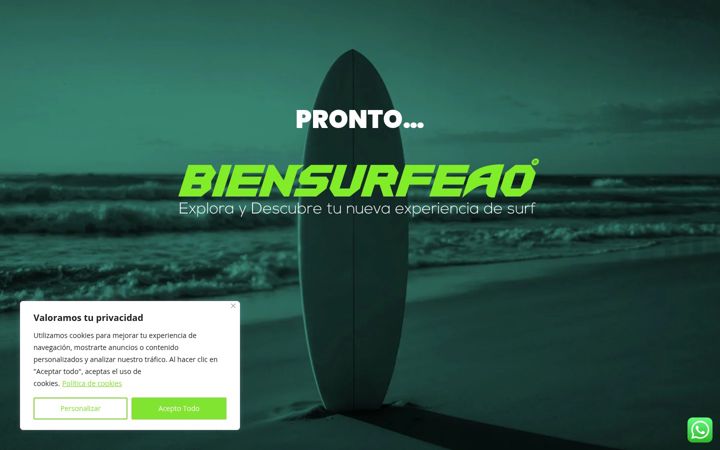 Screenshot of biensurfeao.com