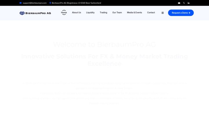 Screenshot of bierbaumpro.com