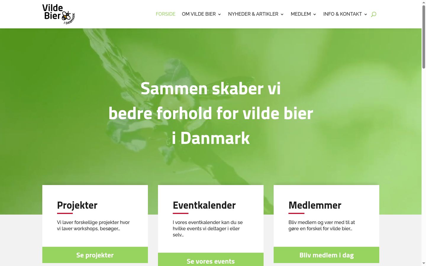 Sutikimo reklamjuostės, rodytos prieš bet kokią sąveiką, ekrano kopija