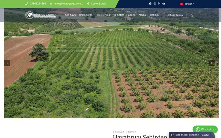 Screenshot of biesaagroup.com.tr