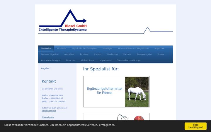 Screenshot of bieselgmbh.com