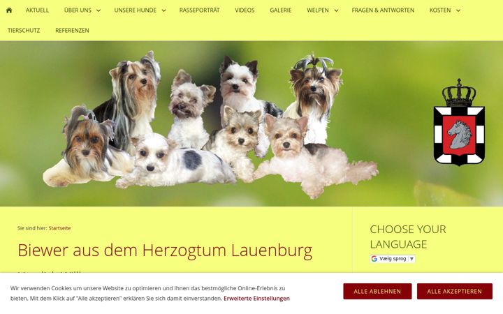 Screenshot of biewer-yorkshire-terrier.eu