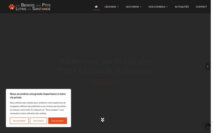 Screenshot of biewers-lutins-saintonge.fr