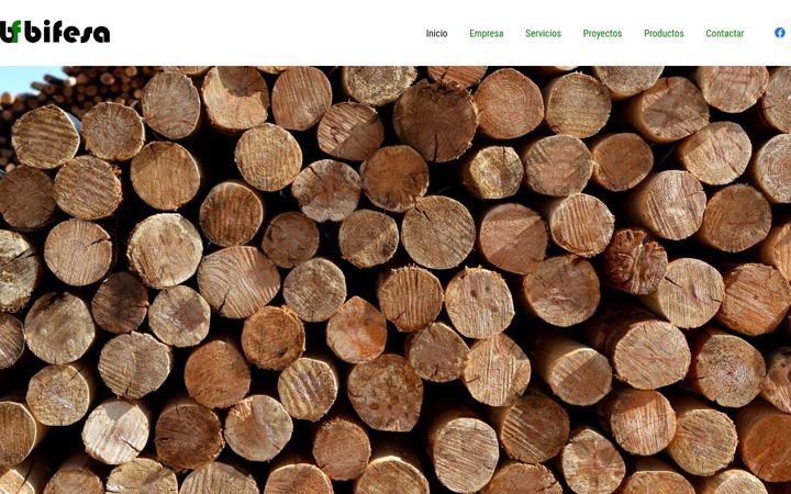 Screenshot of bifesa.com