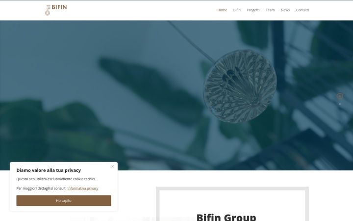 Screenshot of bifin.it