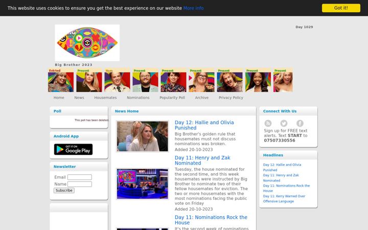 Screenshot von big-bro.co.uk