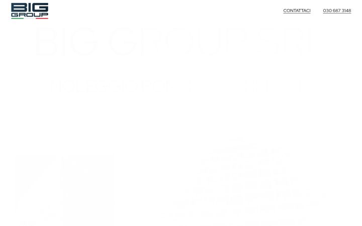 Screenshot of big-group.it