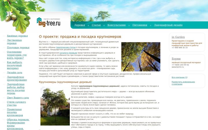 Zrzut ekranu big-tree.ru