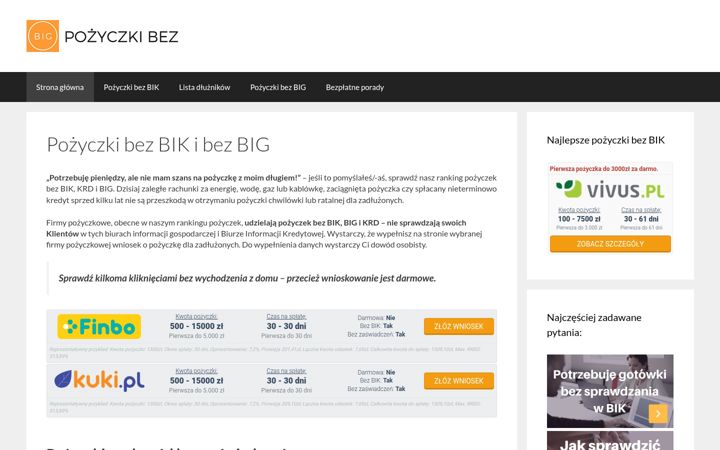 Screenshot of big.org.pl