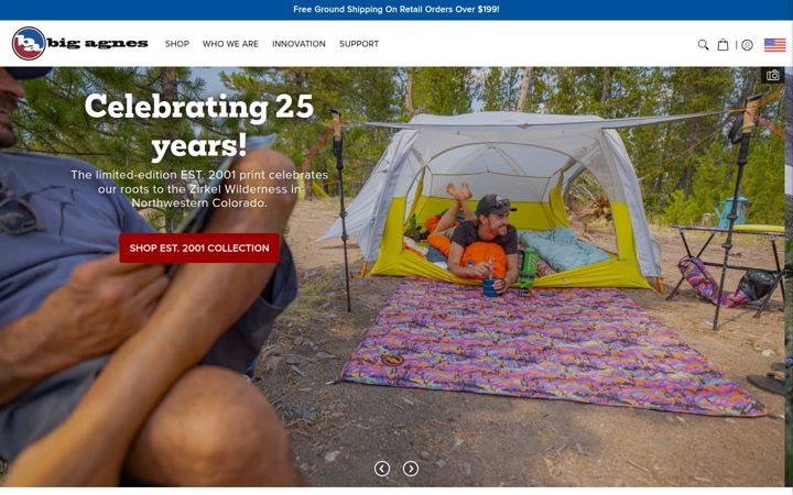 Screenshot of bigagnes.com