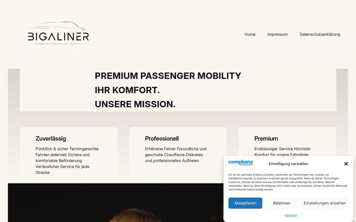 Screenshot of bigaliner.de