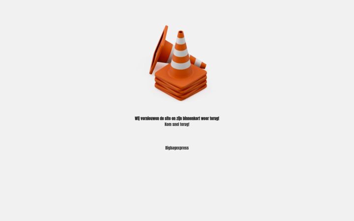 Skjámynd af bigbagexpress.nl
