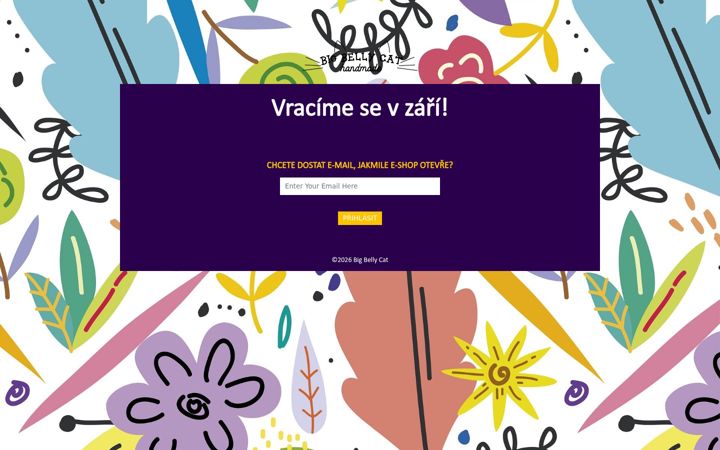 Screenshot of bigbellycat.com