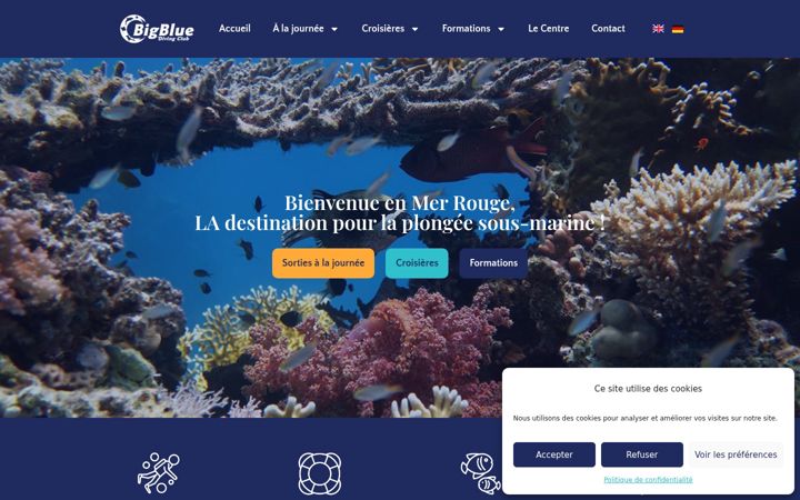Screenshot of bigbluedivingclub.com