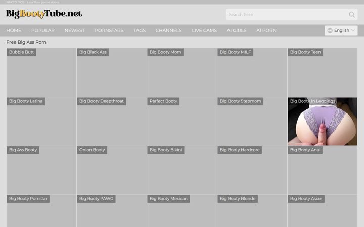 Screenshot von bigbootytube.net