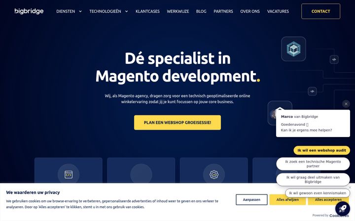 Screenshot of bigbridge.nl