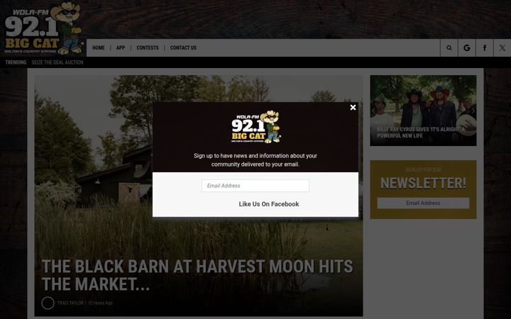 Screenshot of bigcat921.com