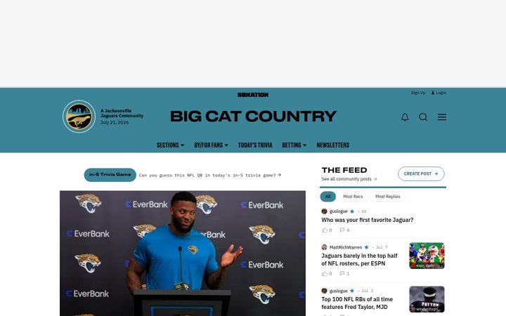 Screenshot of bigcatcountry.com