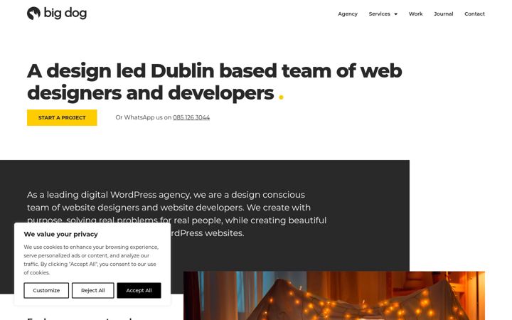 Screenshot of bigdog.ie
