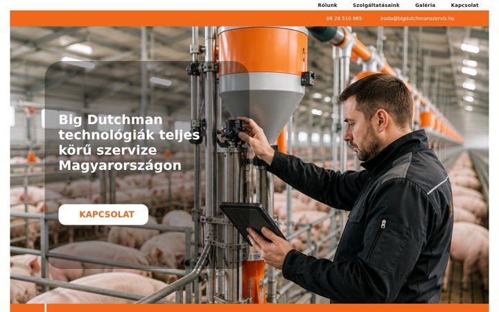 Screenshot of bigdutchmanszerviz.hu