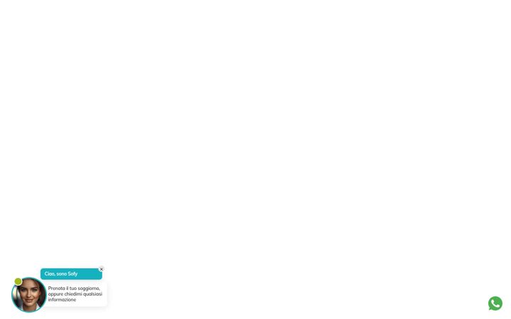 Screenshot of bigfamilyhotelbellaria.com