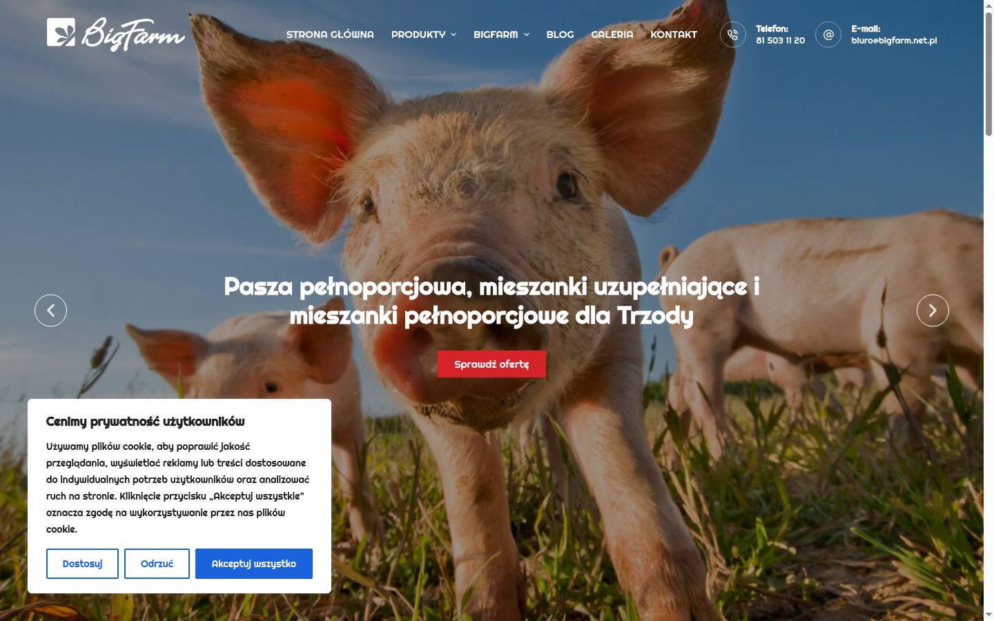 Sutikimo reklamjuostės, rodytos prieš bet kokią sąveiką, ekrano kopija
