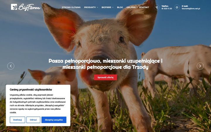Ekrano kopija bigfarm.net.pl
