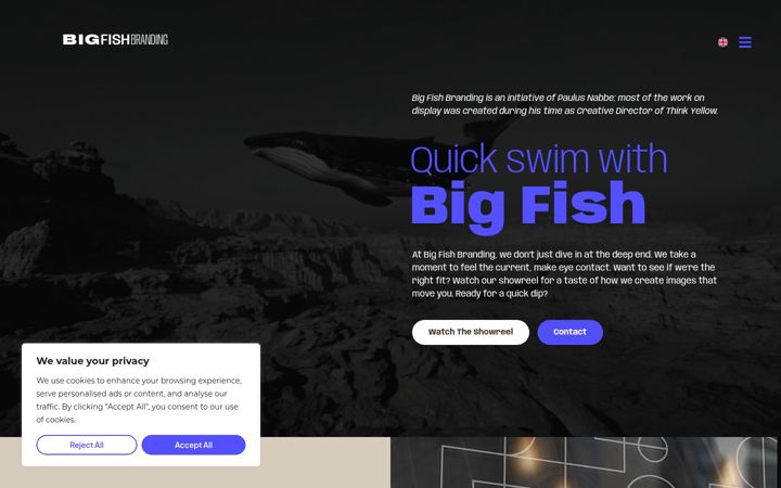 Snímek obrazovky bigfishbranding.nl