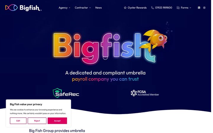 Screenshot of bigfishgroup.co.uk