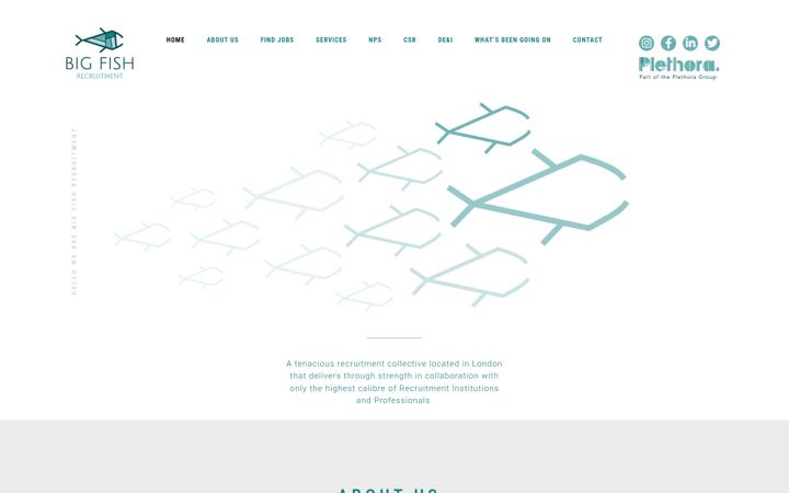 Screenshot of bigfishrecruitment.co.uk