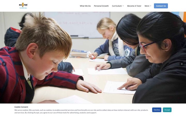 Screenshot of bigfishtutors.com