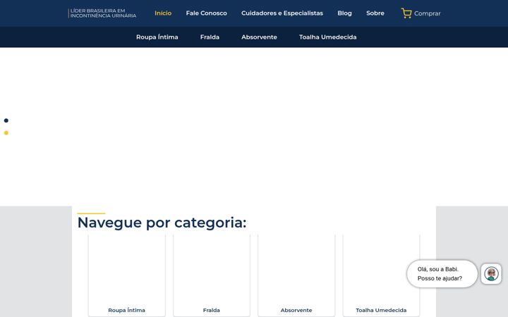 Screenshot stránky bigfral.com.br