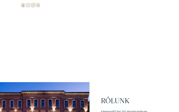 Screenshot of biggeorge-reit.hu