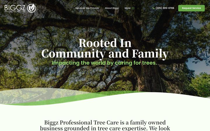 Screenshot of biggztreecare.com