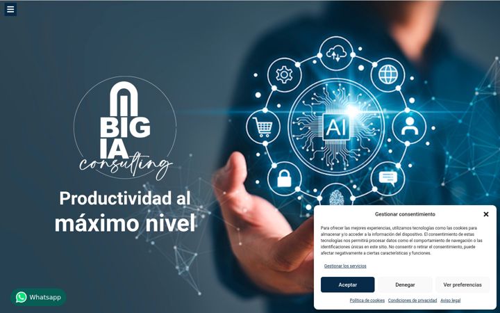 Screenshot of bigiaconsulting.com