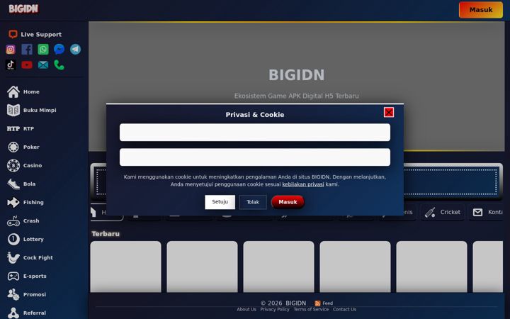 Screenshot von bigidn.net