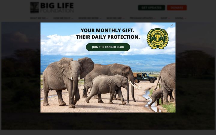 Screenshot stránky biglife.org