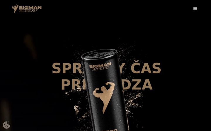 Screenshot di bigmanenergy.sk