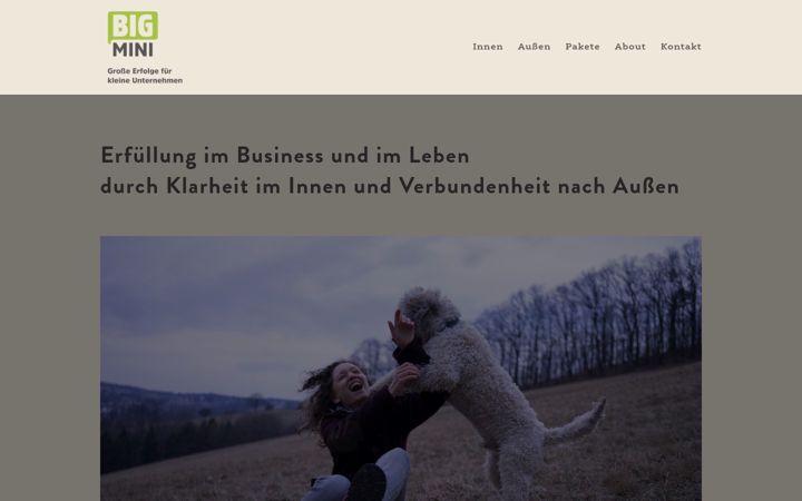 Screenshot of bigmini.at