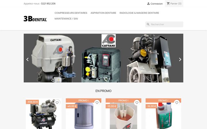 Screenshot of bigotconsulting.com