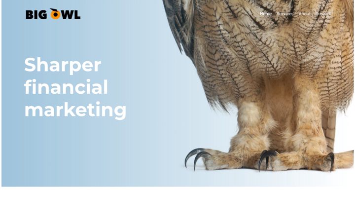 Screenshot of bigowlconsulting.com