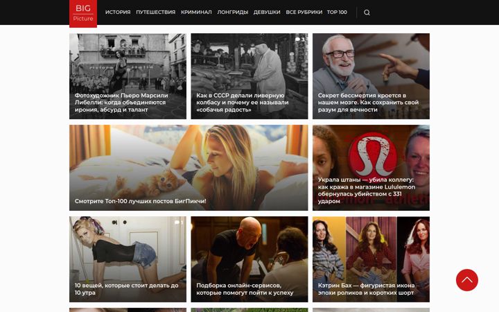 bigpicture.ru