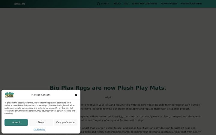 Screenshot of bigplayrugs.com