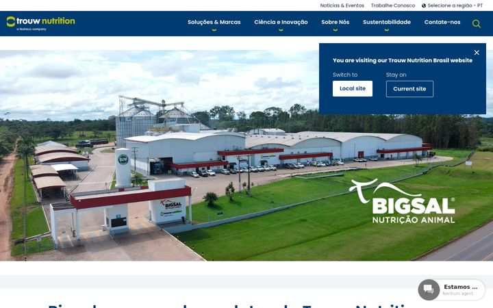 Screenshot of bigsal.com.br