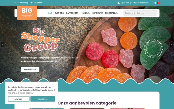 Screenshot of bigshoppergroup.nl