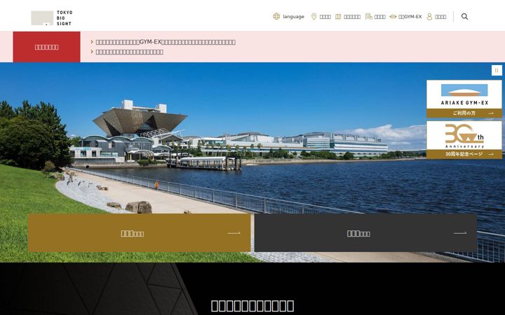 Screenshot of bigsight.jp