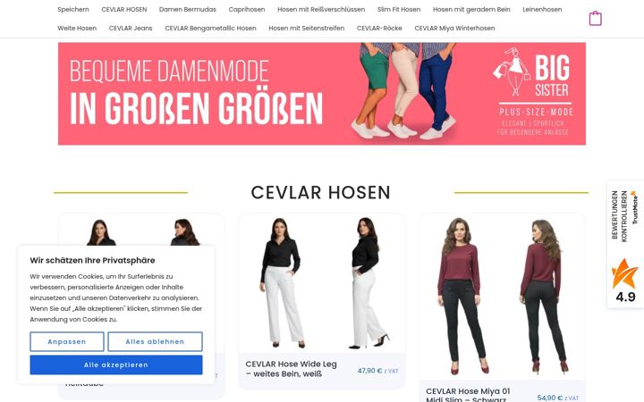 Screenshot of bigsister.store