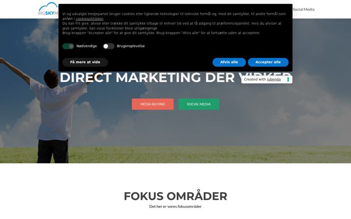 Екранна снимка на bigskymedia.dk